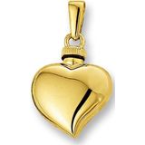 Urnhanger - Hart - 14K Geelgoud