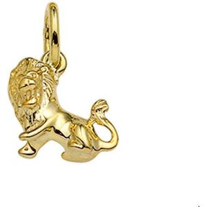 Hanger Sterrenbeeld 14K Geelgoud