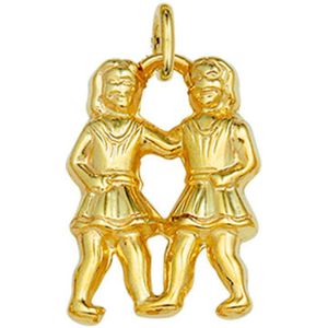 Hanger Sterrenbeeld 14K Geelgoud