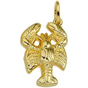 Hanger Sterrenbeeld - 14K Geelgoud