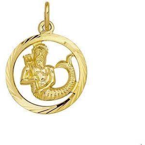 Geelgouden Bedel - Sterrenbeeld Waterman - Gediamanteerd - 14 Krt Goud - 18 mm