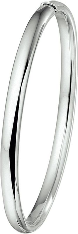 Bangle Scharnier Ovale Buis 5 X 60 Mm