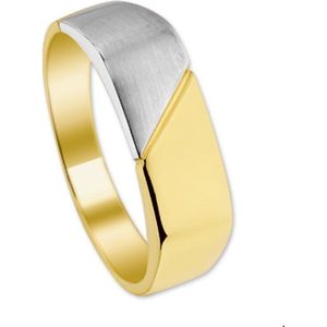 ring poli/mat 14K bicolor goud geel/wit 4205289