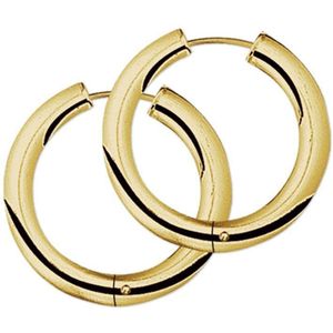 Oorringen 4,0 mm ronde buis