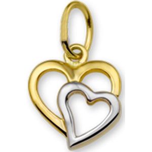 Hanger - Bicolor - Gestift - 14K Geelgoud - Hart