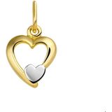 Hanger - Hart - Bicolor - Gestift - 14K Geelgoud