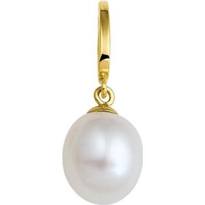 hanger parel 10 x 8,5 mm 14K geelgoud 4017132
