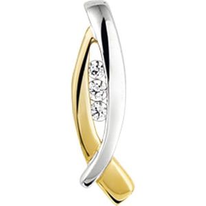 Hanger - Bicolor - 14K Goud - Geel/Wit - Zirkonia - 4207234