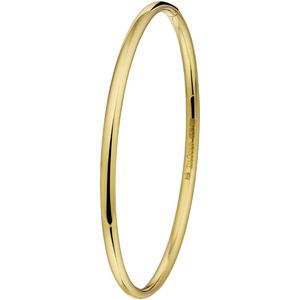 Bangle Scharnier Massief Ovale Buis 3,0 Mm