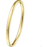 Bangle - Scharnier Massief Ovale Buis - Geelgoud - Zilgold - Gepolijst