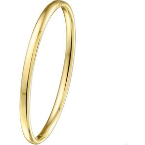 Bangle - Scharnier Massief Ovale Buis - Geelgoud - Zilgold - Gepolijst