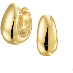 klapoorringen 14K geelgoud 4017380