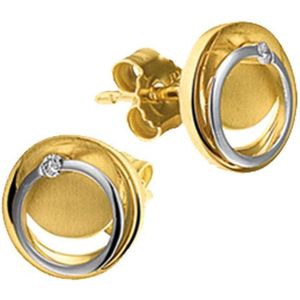The Jewelry Collection Oorknoppen Diamant 0.02ct (2x0.01ct) H Si - Bicolor Goud