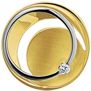 The Jewelry Collection Hanger Diamant 0.03ct H Si - Bicolor Goud