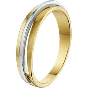 ring poli/mat 14K bicolor goud geel/wit 4207495