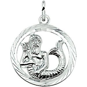 hanger sterrenbeeld waterman gediamanteerd zilver gerhodineerd 1323556