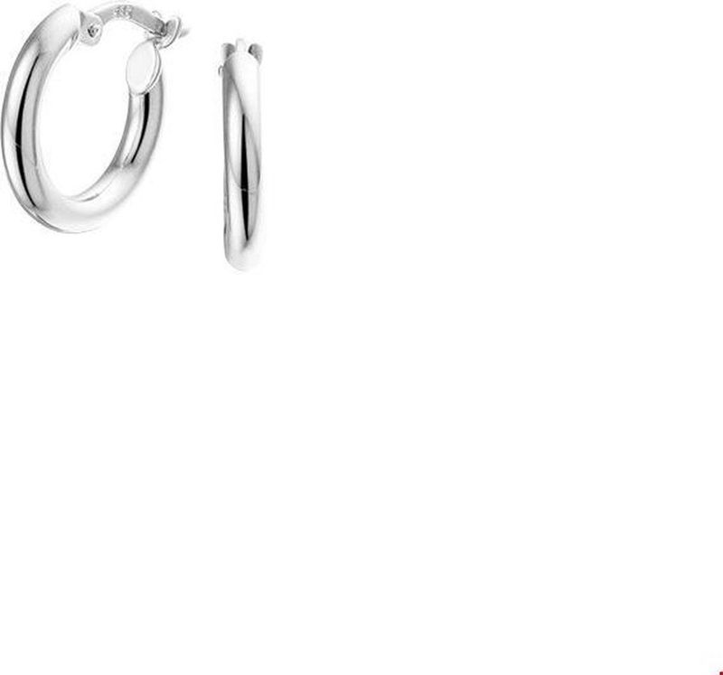 TFT - Oorringen Ronde Buis - Witgoud Glanzend - 2,5 mm x 15 mm