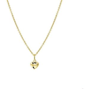 collier hart 45 cm 14K geelgoud 4018051