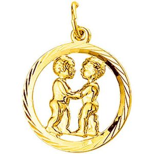 hanger sterrenbeeld tweeling gediamanteerd 14K geelgoud 4018374