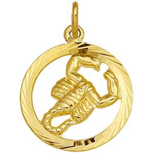 hanger sterrenbeeld schorpioen gediamanteerd 14K geelgoud 4018383