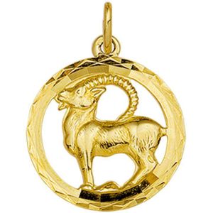 Hanger - Geelgoud - Sterrenbeeld Steenbok - Gediamanteerd - 14K