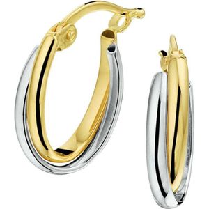 Bicolor - Gouden Oorringen - 17.3x4mm - Creolen