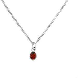Zilver Gerhodineerde Collier lieveheersbeestje 1 1326821