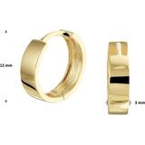 Huiscollectie klapoorring Geelgoud Glanzend