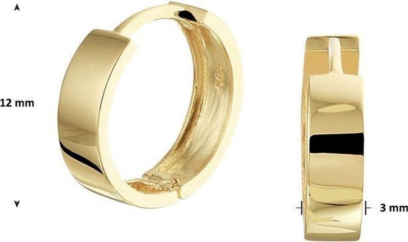 Huiscollectie klapoorring Geelgoud Glanzend