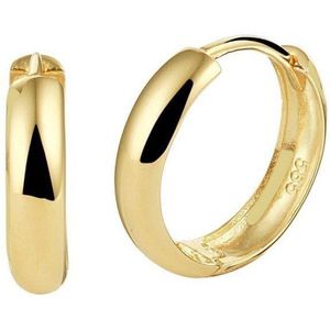 klapoorringen 14K geelgoud 4020303