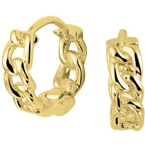 Geelgoud op Zilveren Klapoorringen 2100808