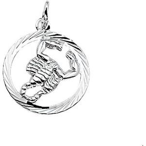 hanger sterrenbeeld gediamanteerd zilver wit 1002779