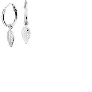 Zilver - Gerhodineerde Oorringen - Veer - 12x1.5mm - 13x5mm