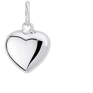 hanger hart 14K witgoud 4100480