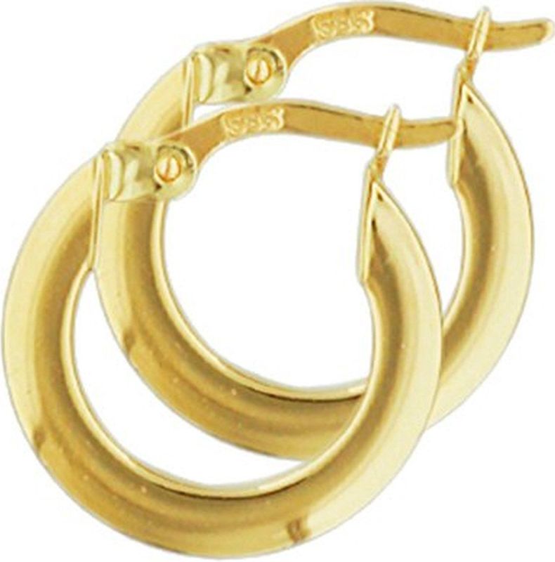 Oorringen - Geelgoud - 2,5 mm - Vierkant - Hefboom-sluiting