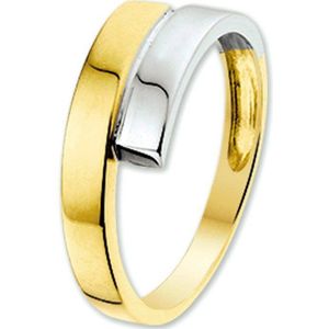 ring 14K bicolor goud geel/wit 4205528