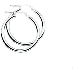 Zilveren Oorringen - Ronde Buis - 925 Zilver - Hefboom-sluiting