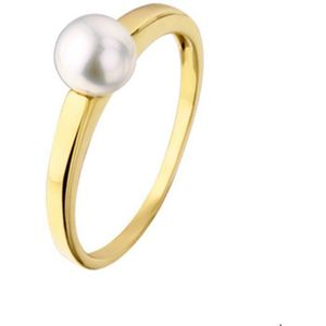 ring parel 14K geelgoud 4015020