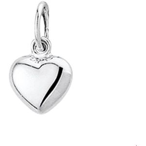 Hanger - Hart - 14K Witgoud - 4100479