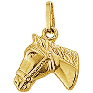 Hanger Paardenhoofd 14K Geelgoud