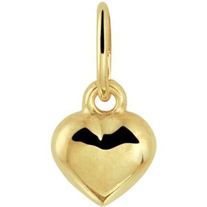 Hanger - Hart - 14K Geelgoud