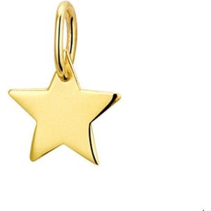 hanger ster 14K geelgoud 4019321