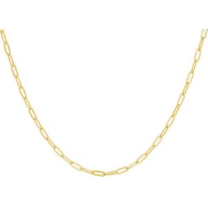 Zilver Verguld Collier anker 2 2101063