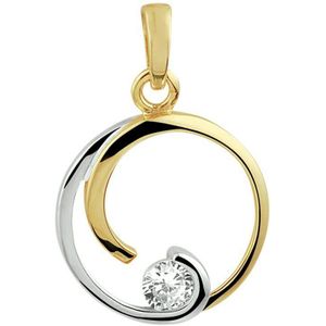 Hanger - Bicolor - Zirkonia - 14K Geelgoud - Diameter 15mm
