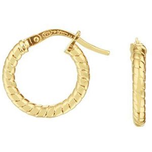 Goud met Zilveren Kern Oorringen 5000251