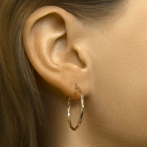 oorringen gedraaide buis 2,0 mm Zilgold (geel met zilverkern) 5000256