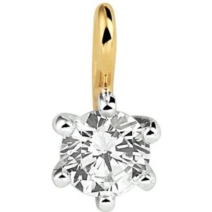 Geelgouden Hanger - Bicolor Goud - Zirkonia - 9 mm x 5 mm