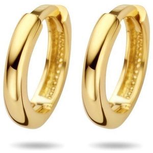 klapoorringen 14K geelgoud 4023488