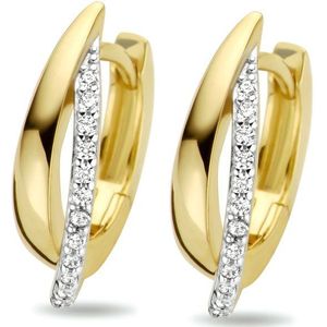 Klapoorringen - Zirkonia - 14k Geelgoud - Bicolor - Scharniersluiting