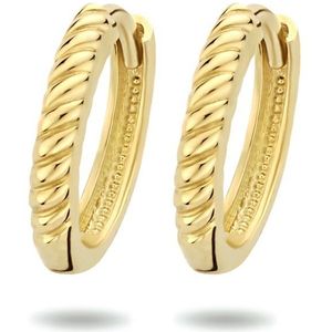 klapoorringen 14K geelgoud 4023782